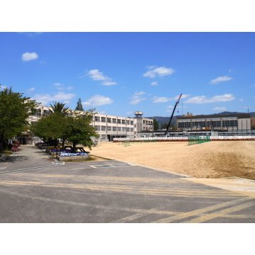 八尾中学校