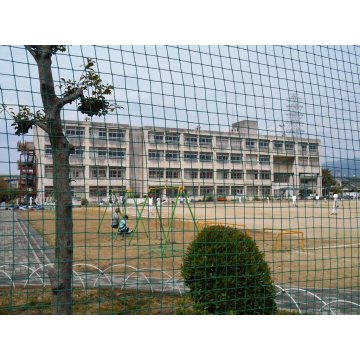 西山本小学校