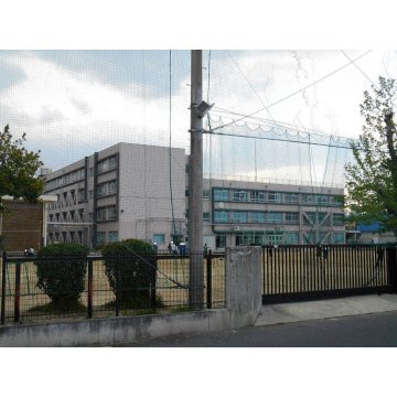 長池小学校