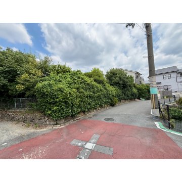 現地前面道路