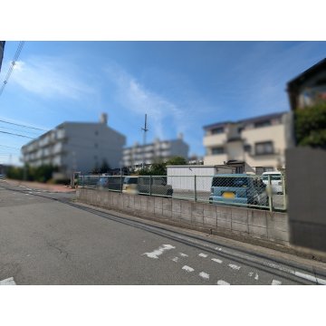 現地写真