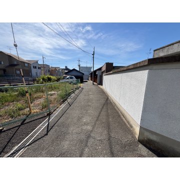 現地写真