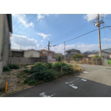 現地写真