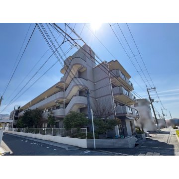 八尾の不動産売買