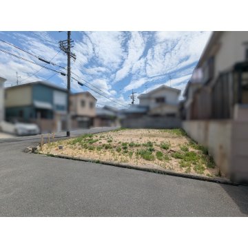 現地写真