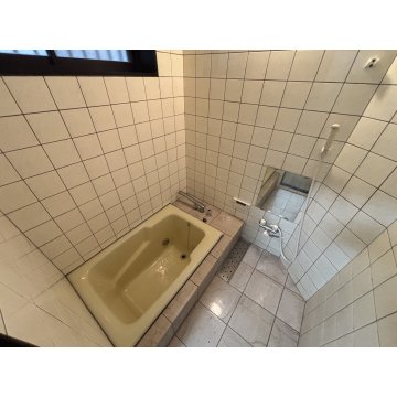 バス