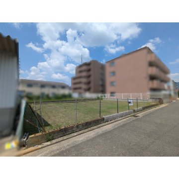 現地写真