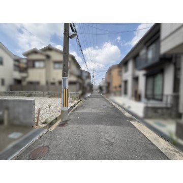 現地写真