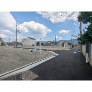 現地写真