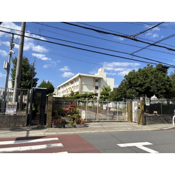 美園小学校