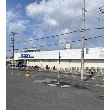 サンディ