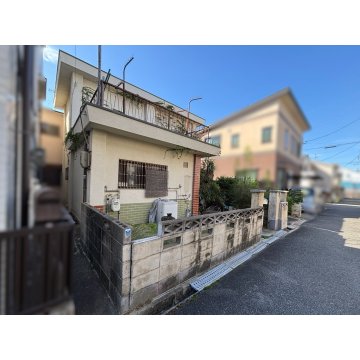 現地写真